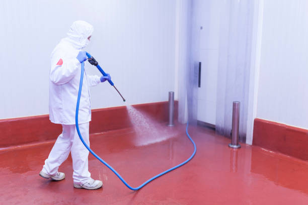 Best Roof Washing  in Banning, CA